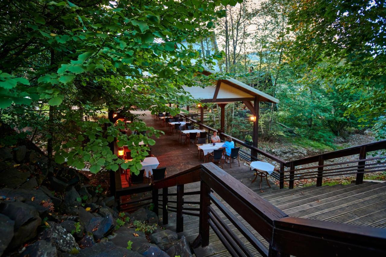 Hotel & Restaurant Sofia Sucevita Exteriér fotografie