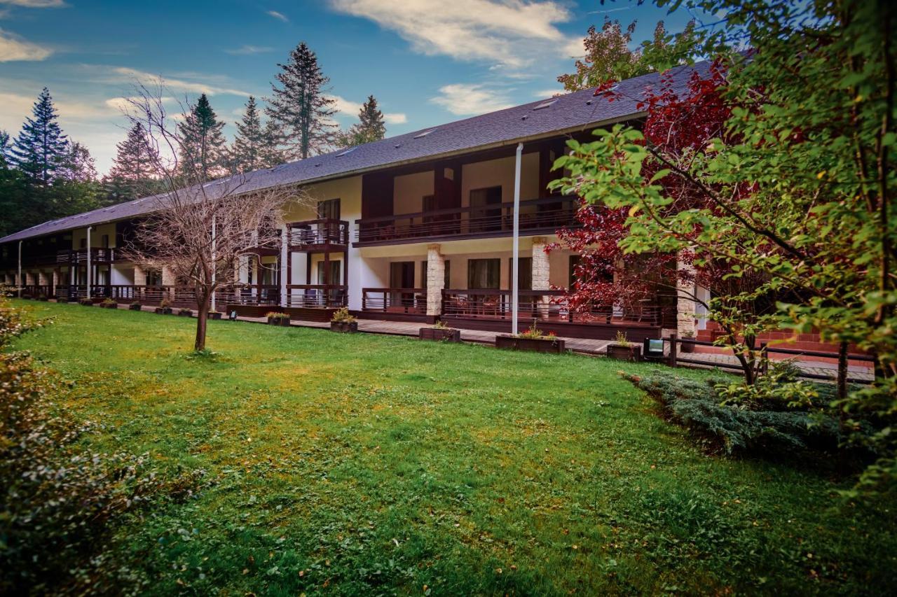 Hotel & Restaurant Sofia Sucevita Exteriér fotografie